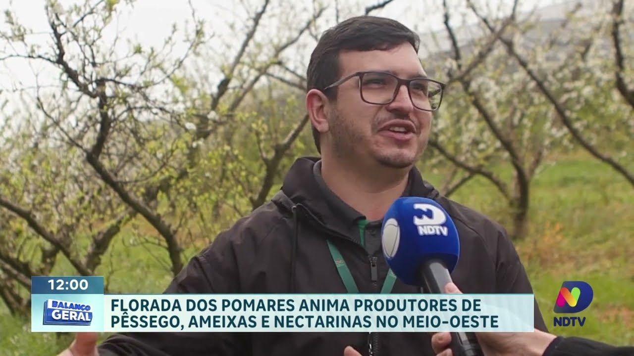 Pomares em flor transformam paisagem e animam produtores em Fraiburgo