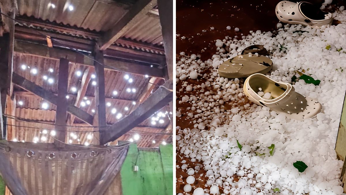 Cidade decreta situação de emergência após temporal de granizo destruir mais de 50 casas em SC; imagens mostram destruição