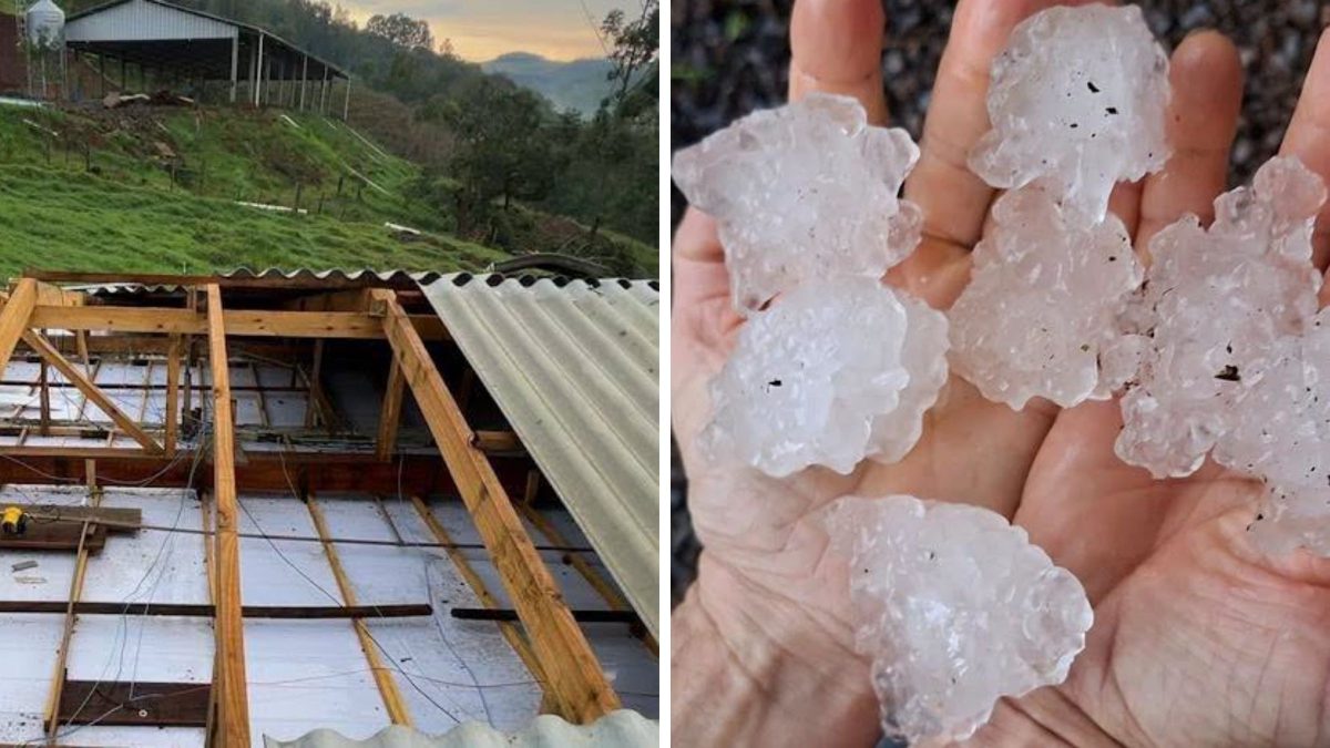Defesa Civil aponta estragos causados por vendaval de até 100 km/h e granizo após temporais e decretos de emergência em cidades de SC