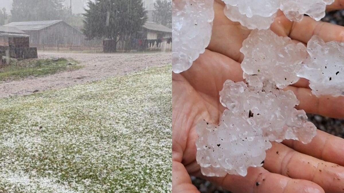 ‘Momento de terror’: Mais de mil famílias são afetadas por temporal de granizo que deixa rastro de destruição em SC