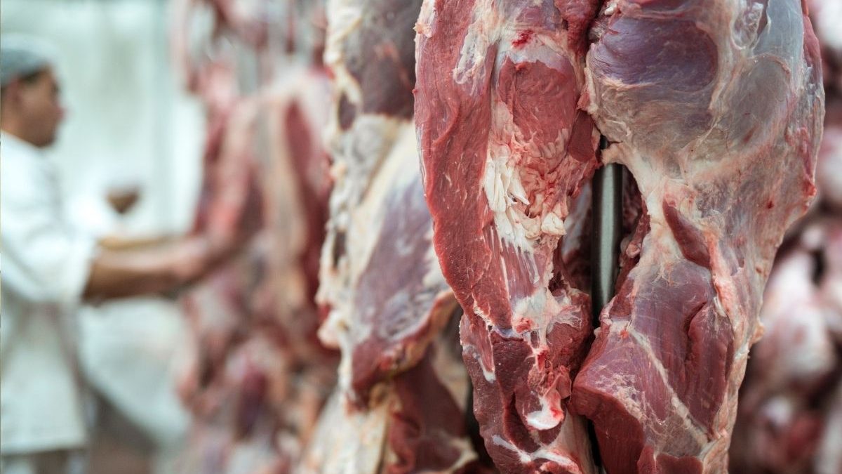 Carne brasileira barrada na Europa: entenda os impactos para a economia e para as exportações