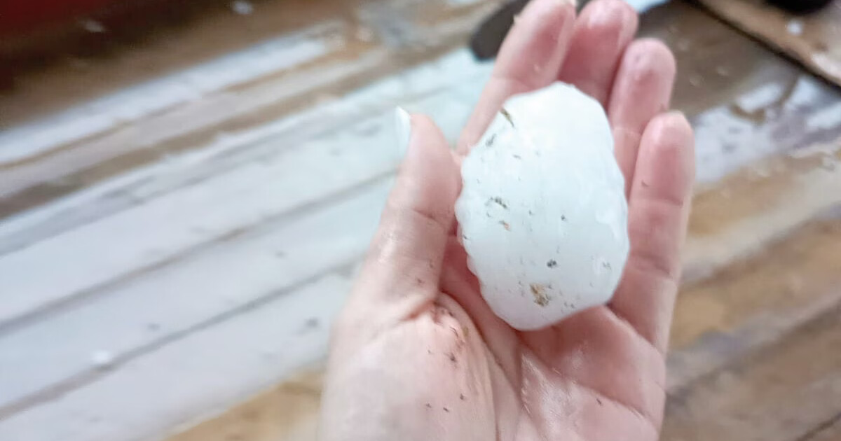 Risco de granizo em Brusque nesta segunda-feira: veja o que diz a Defesa Civil