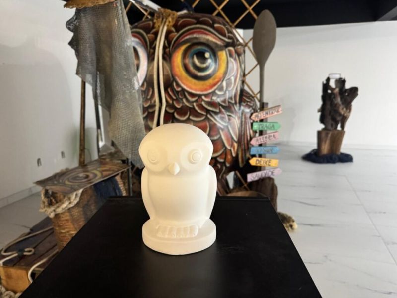 Concurso “Corujinha Parade” vai revelar novos artistas nas escolas de Navegantes
