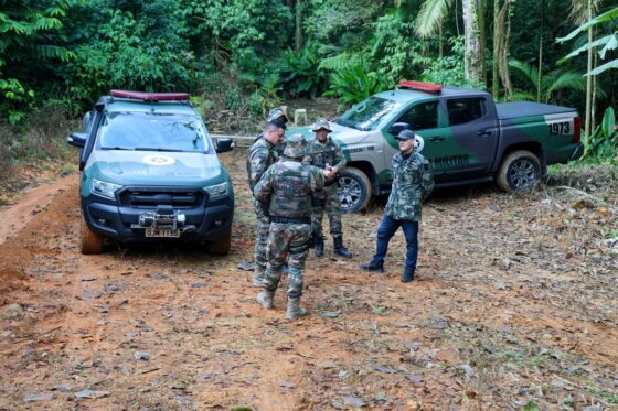 Satélites ajudam a localizar 381 hectares de desmatamento ilegal em Santa Catarina