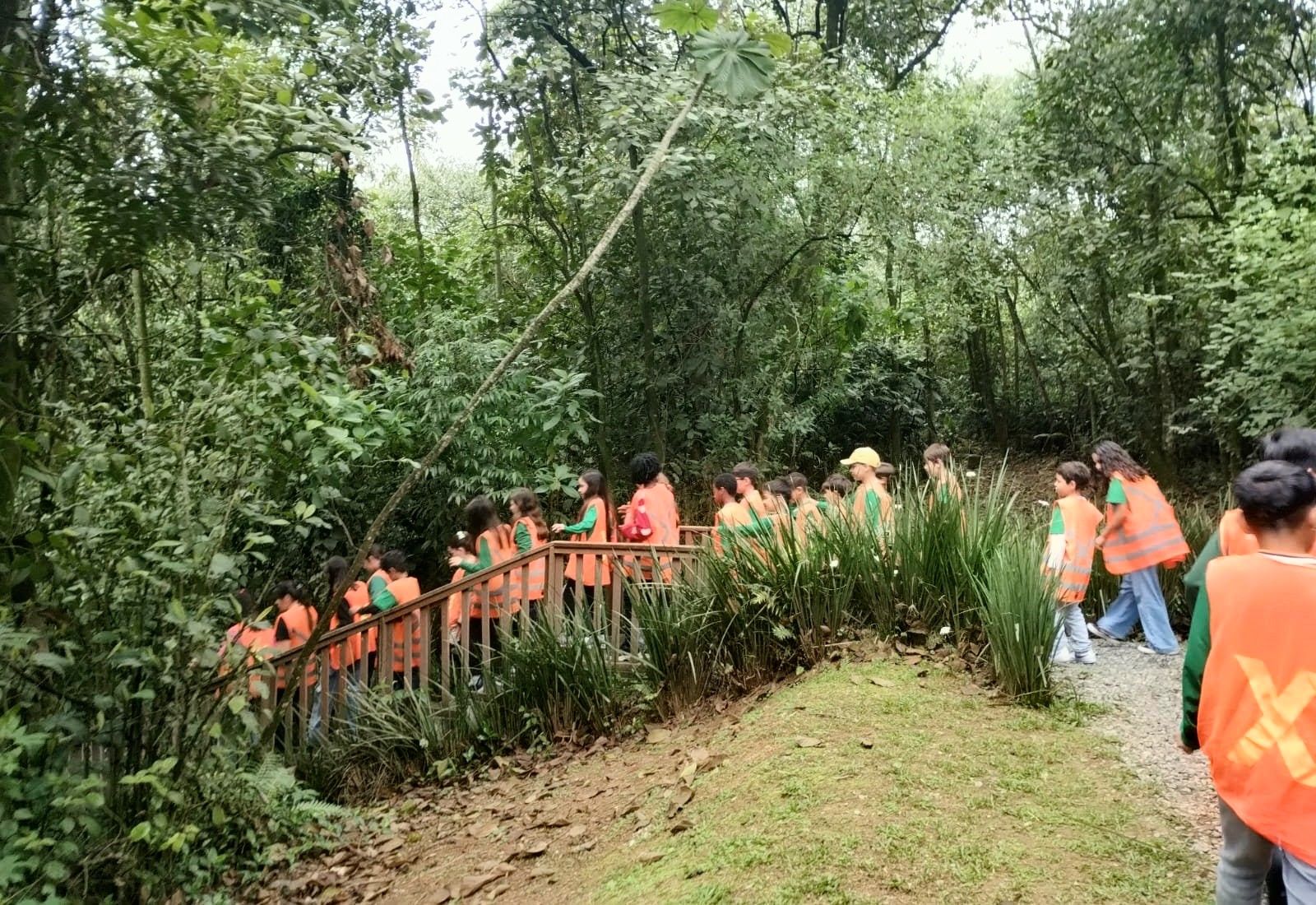 Crianças da Escola CAIC participam de atividade de educação ambiental em Joinville