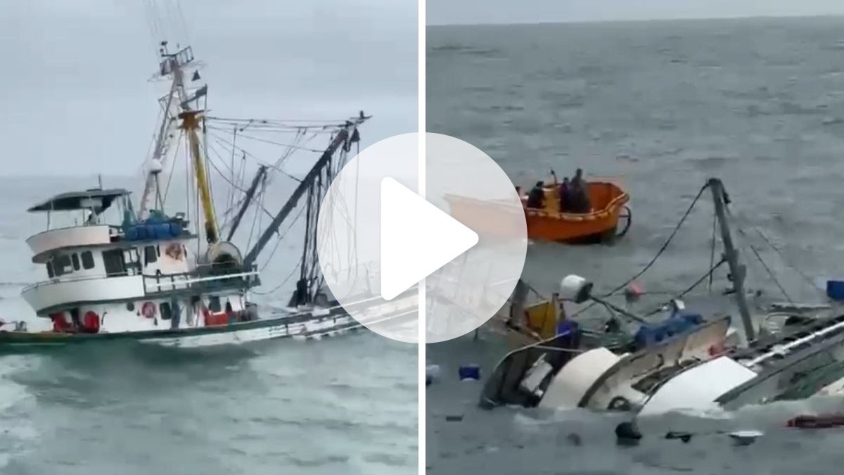 VÍDEO: Barco pesqueiro de SC afunda e ‘desaparece’ em alto-mar em menos de dois minutos