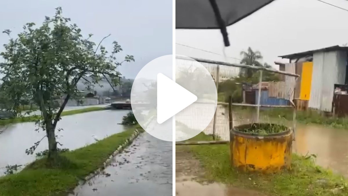 Ribeirão sobe mais que o dobro do normal, sai da calha e sirene toca para alertar moradores sobre alagamento em cidade de SC