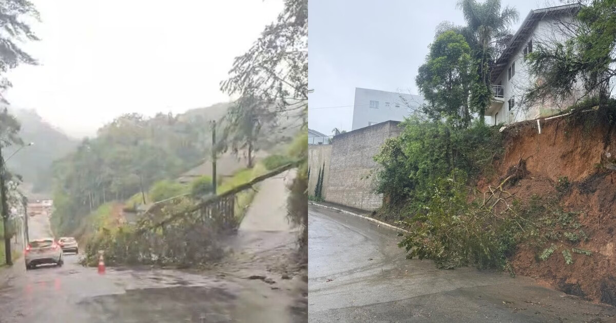 VÍDEO - Queda de árvore e deslizamento de terra mobilizam Defesa Civil em Brusque