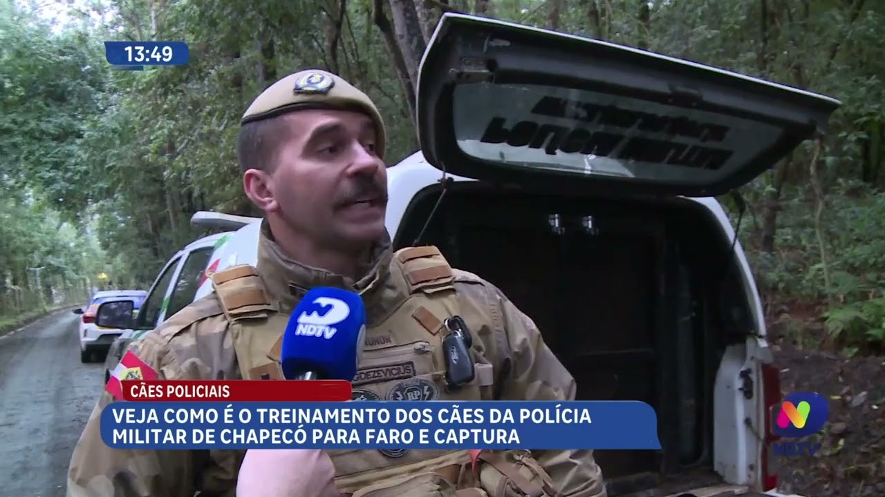 Cães policiais passam por treinamento para faro e captura em Chapecó