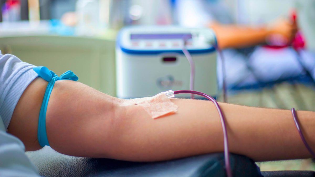 Aeroporto de Guarulhos faz campanha de doação de sangue; veja as datas e como participar