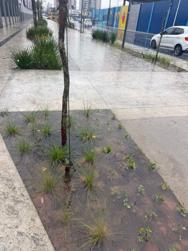 Novo passeio alaga em frente ao colégio São José