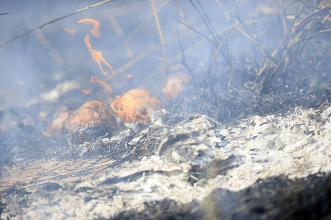 DF registra 60 incêndios em vegetação nesta segunda-feira (31/8)