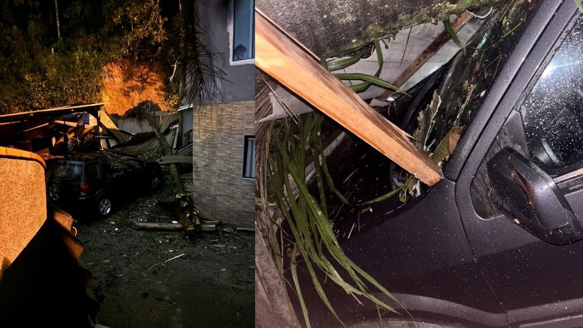 VÍDEO: Deslizamento de terra e queda de árvore atingem casa e carro após chuva torrencial em Blumenau