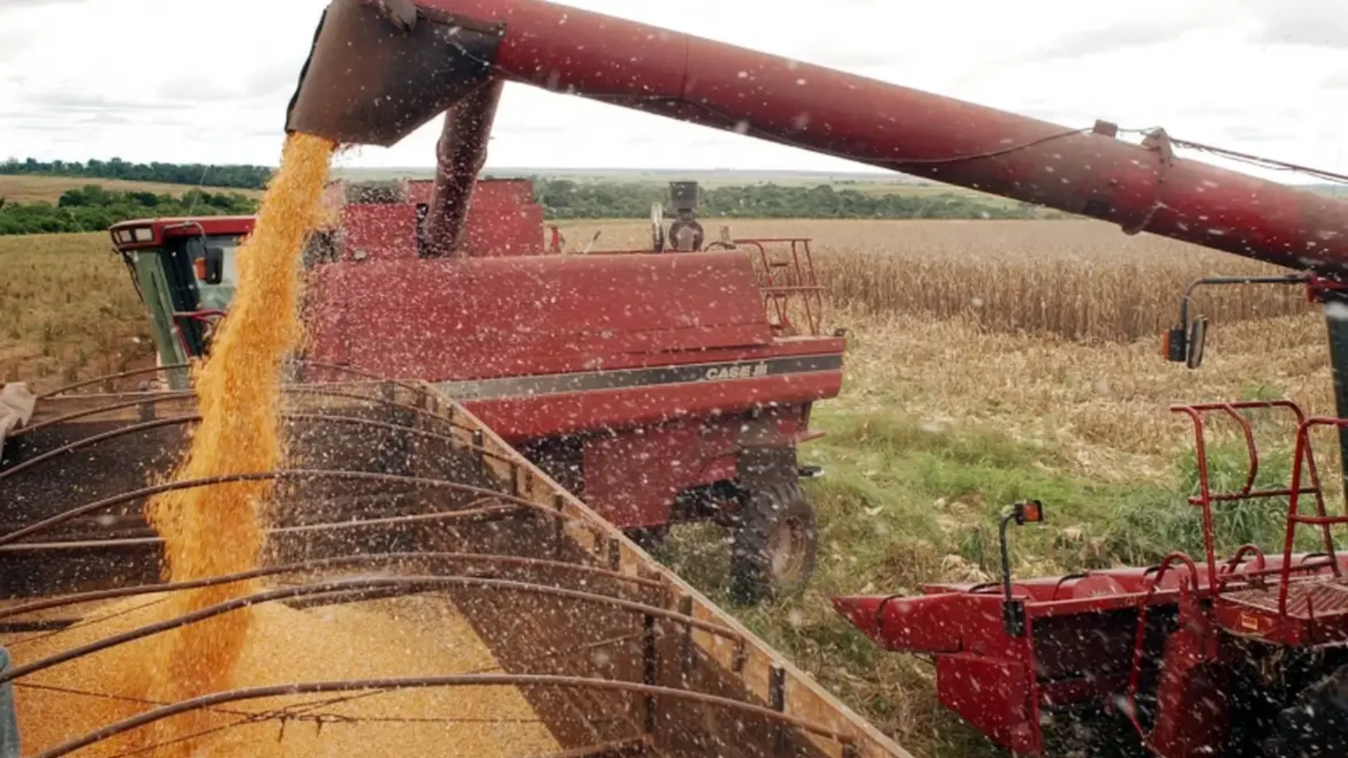 Agro e petróleo puxam PIB no 2º trimestre; transformação recua