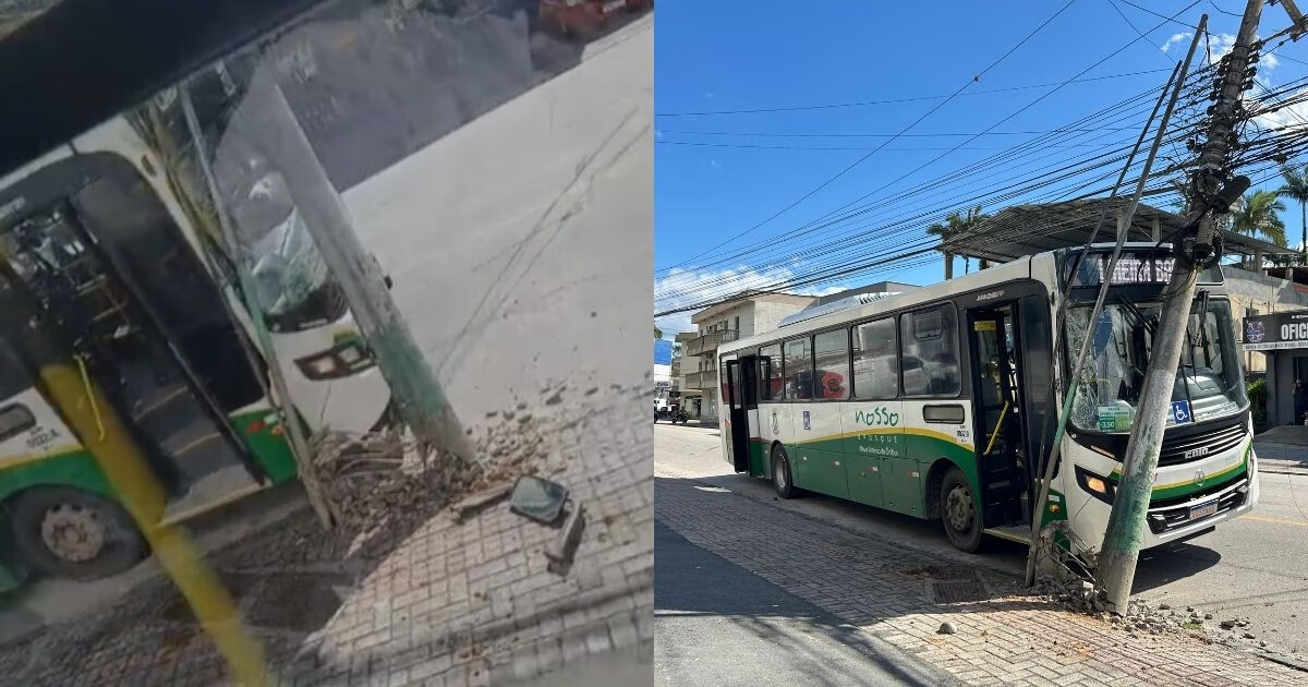 VÍDEO - "Grande livramento": passageira de ônibus que colidiu com poste em Brusque relata momento