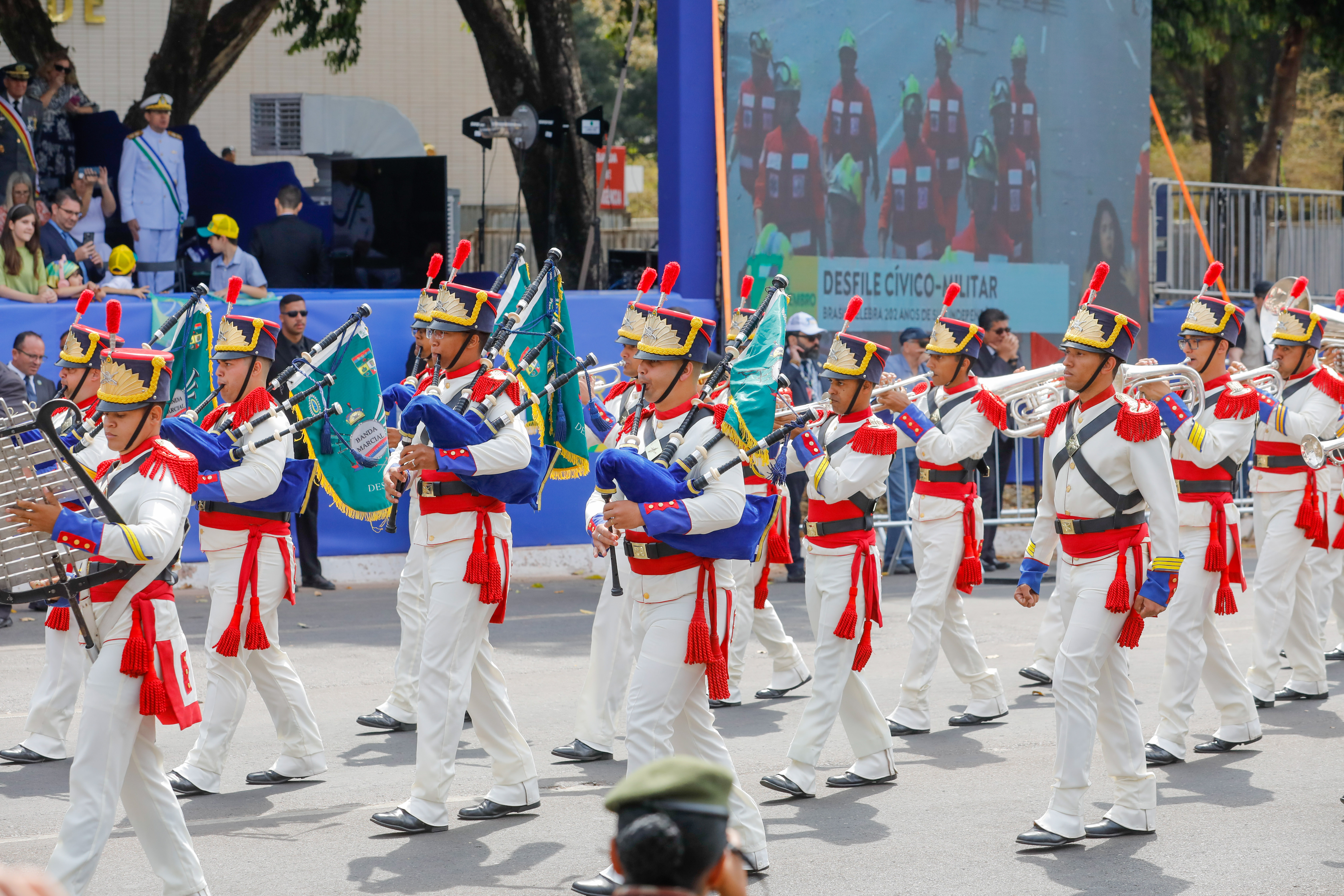 Confira orientações para acompanhar o Desfile de 7 de setembro