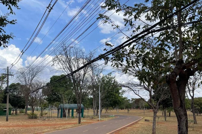 Fios e cabos irregulares comprometem paisagem do Parque da Cidade