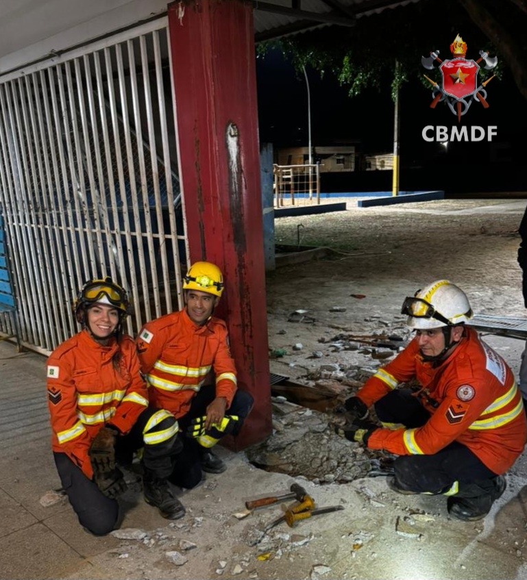 Bombeiros quebram piso de escola e resgatam dois filhotes de gato em Planaltina