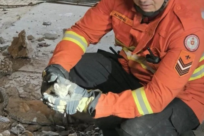 CBMDF resgata filhotes de gato dentro de tubulação em escola de Planaltina