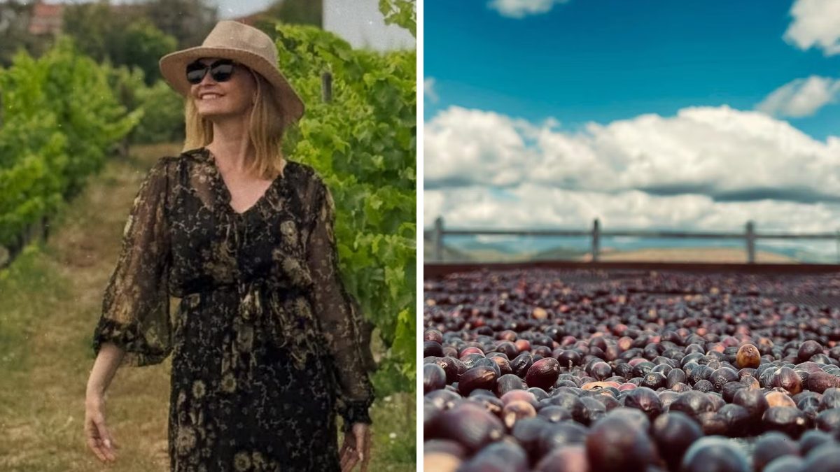 Atriz global recupera fazenda de 180 hectares que estava parada e dá novo destino ao local com produção de café