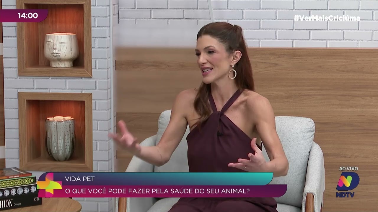 Especialistas alertam sobre problemas cardíacos em cães e gatos