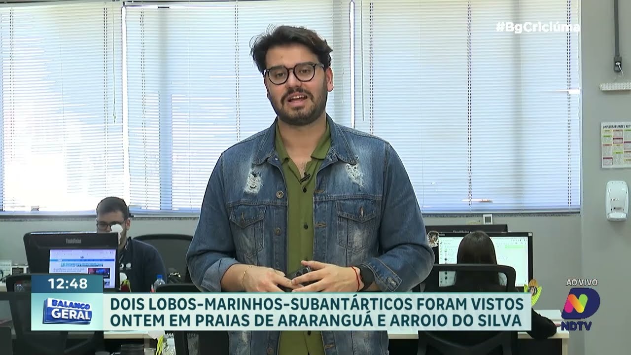 Lobos-marinhos são vistos em praias de Araranguá e Arroio do Silva