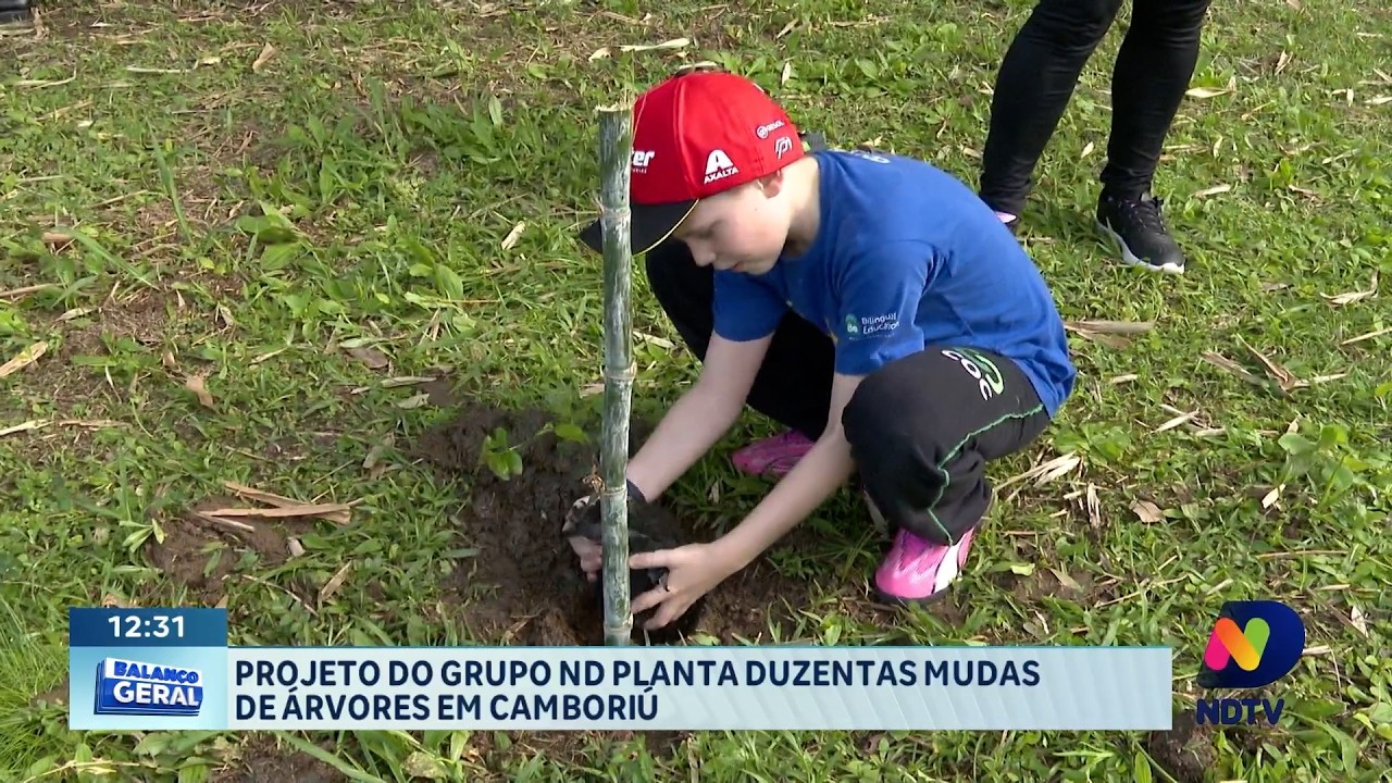 Projeto do Grupo ND realiza plantio de 200 árvores em Camboriú