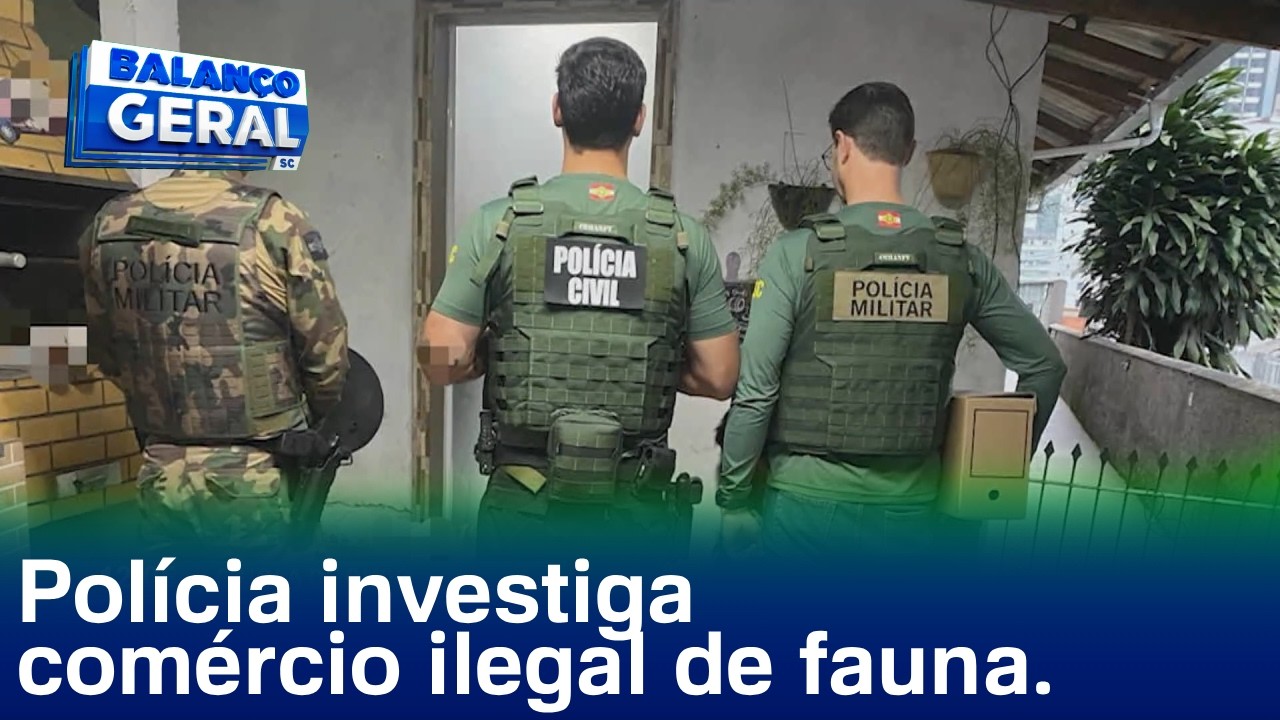 Gaiola de Ouro: polícia cumpre mandados sobre comércio ilegal de fauna silvestre e exótica.