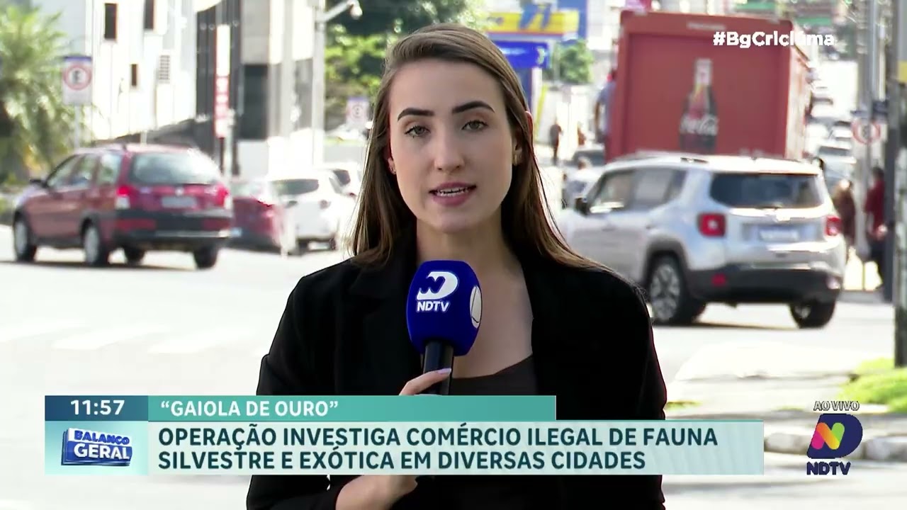 Operação investiga comércio ilegal de animais no Sul de SC