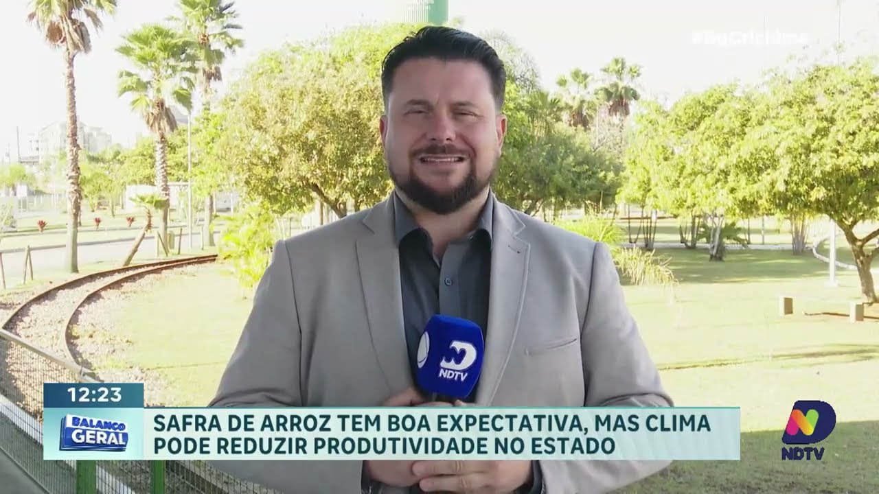 Safra de arroz começa com boas expectativas em Santa Catarina
