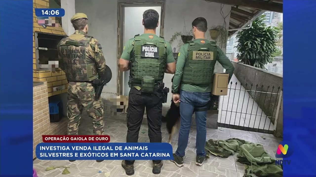 Operação Gaiola de Ouro Investiga venda ilegal de animais silvestres e exóticos em Santa Catarina