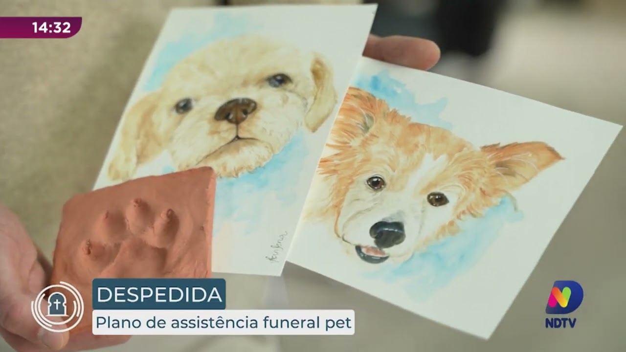 Despedida: Plano de de assistência funeral pet