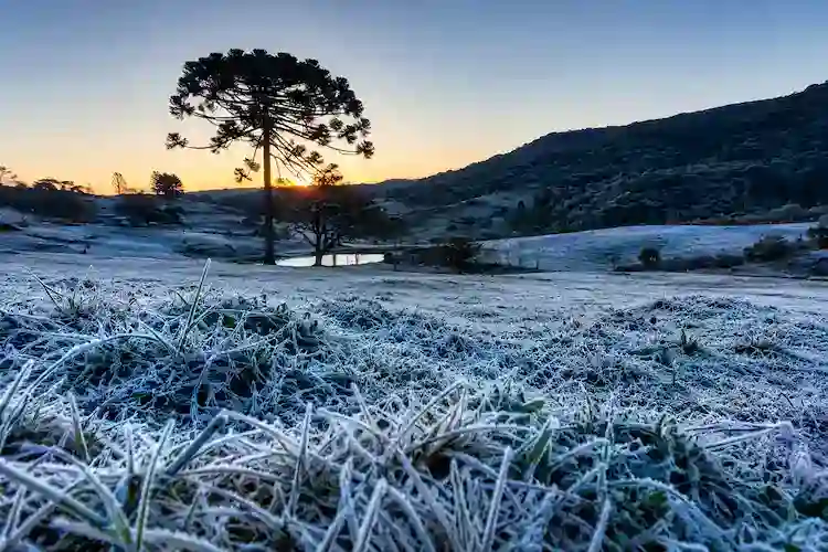 Frio intenso chega a Santa Catarina e previsão indica até -6°C no feriadão de Independência
