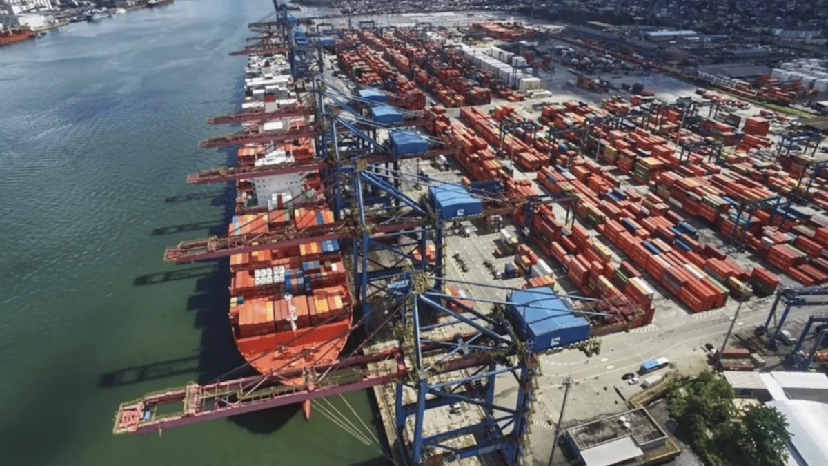 Cade vai rever manobra que permite MSC e Maersk disputarem Tecon 10