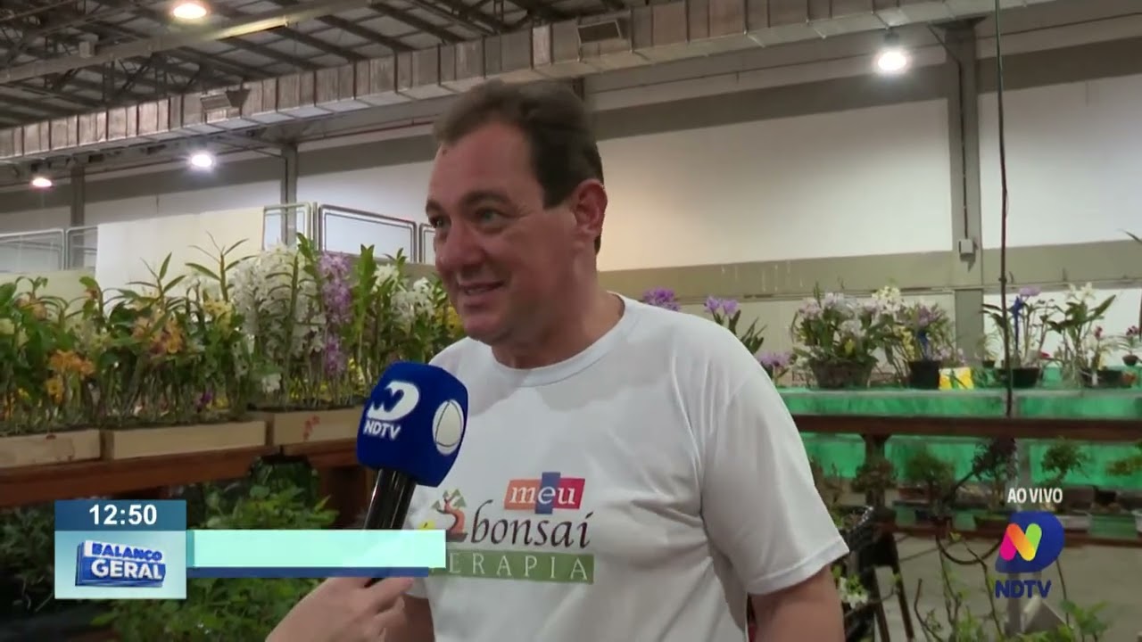 Blumenau: exposição de orquídeas segue até segunda-feira no setor 3 do Parque Vila Germânica