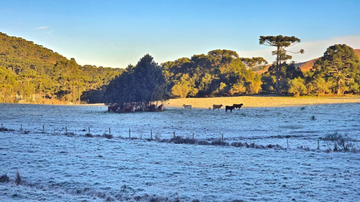 Onda de frio de até -9°C e chance de neve em SC marcam feriadão de 7 de setembro; estado entra em alerta do Inmet