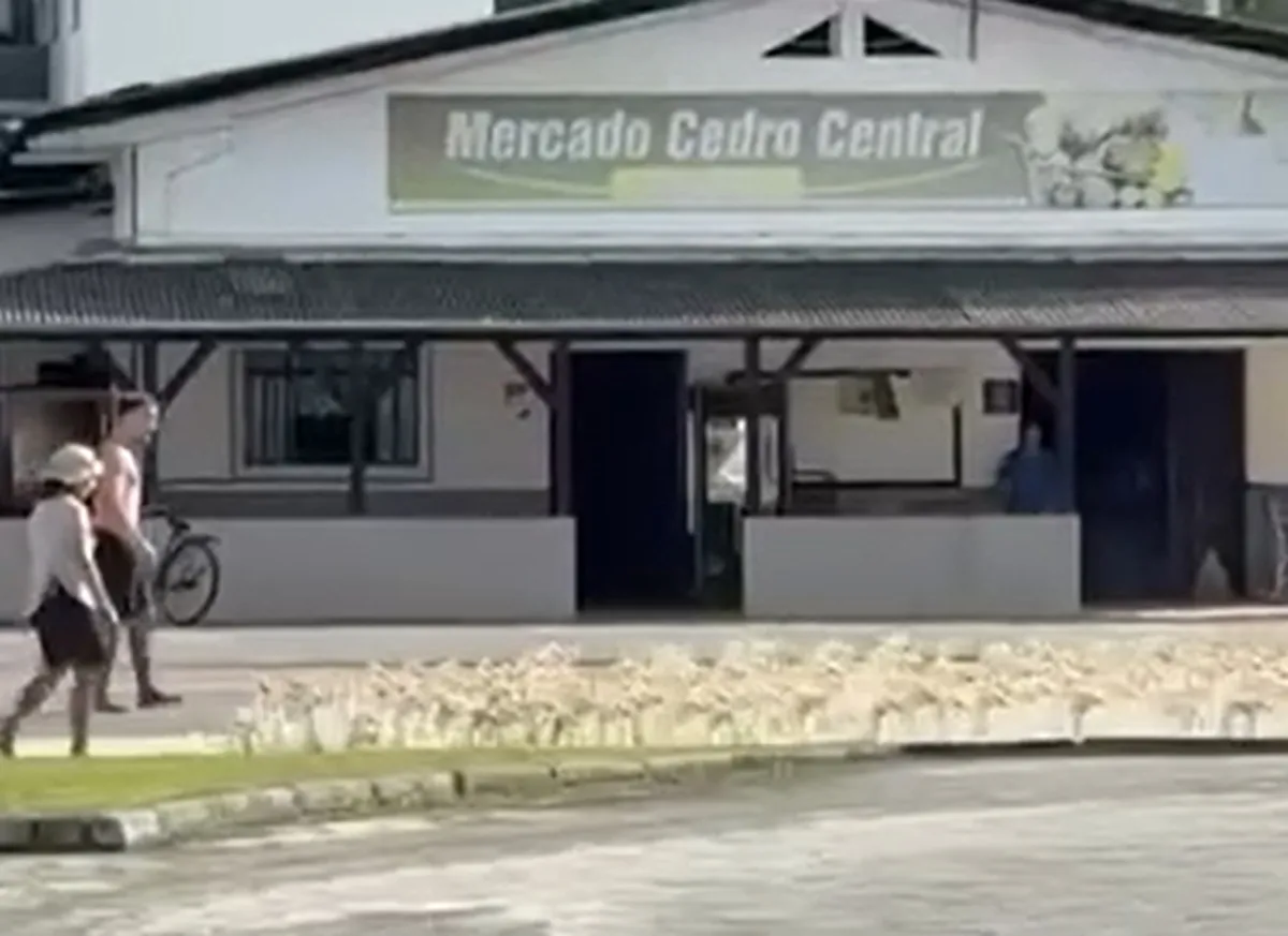 'Exército' de 500 marrecos 'marcha' em rua de SC ao lado de tutores e vídeo viraliza